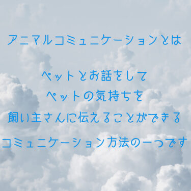 ペットと飼い主さんの通訳をさせていただきます。併せて米粉のドッグクッキーも販売します。 #nassiyshop #土曜